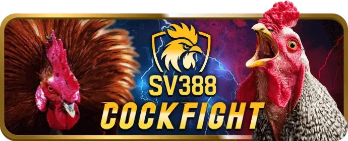 Biểu tượng cookie và bảo vệ dữ liệu